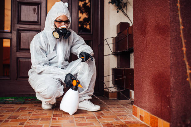 Reliable Bed Bug Control contractor in Lexington, TX by Nex Pest Control
